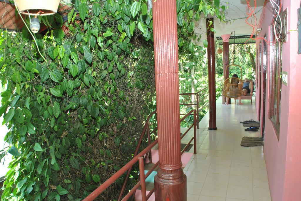 Jungleparadiso Homestay Теккади Экстерьер фото