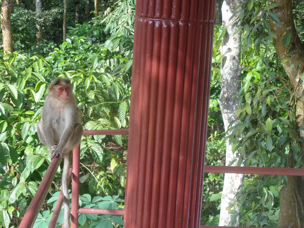 Jungleparadiso Homestay Теккади Экстерьер фото
