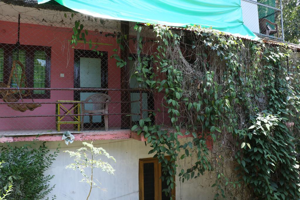 Jungleparadiso Homestay Теккади Экстерьер фото