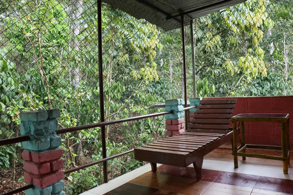 Jungleparadiso Homestay Теккади Экстерьер фото